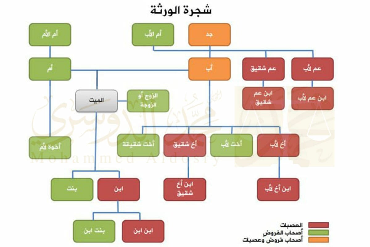 حاسبة توزيع الميراث